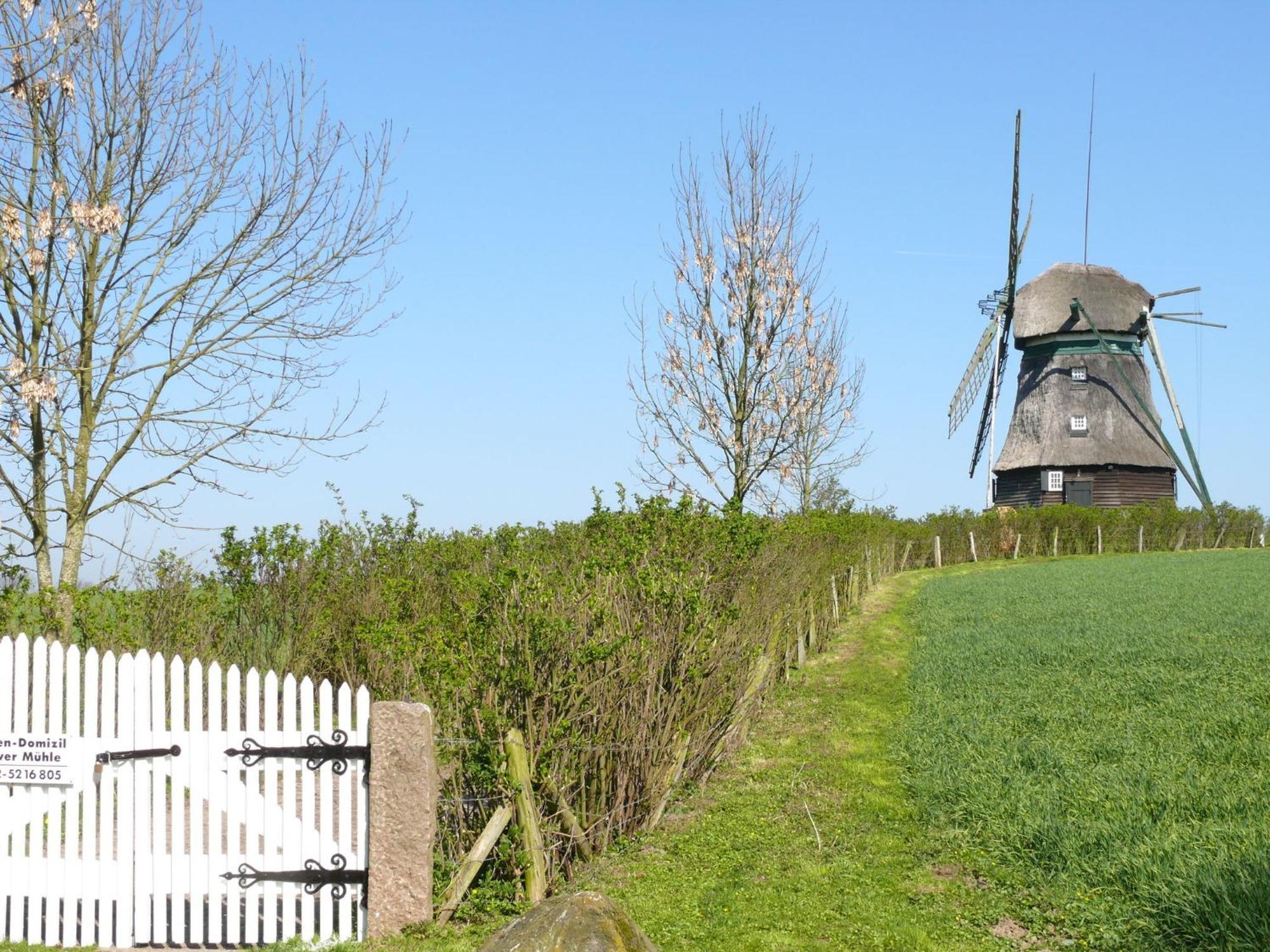 Beautiful Authentic Mill Close To The Beach Wangels Exterior foto
